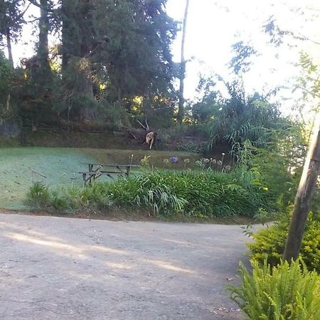 Park View Guest House Nuwara Eliya Kültér fotó