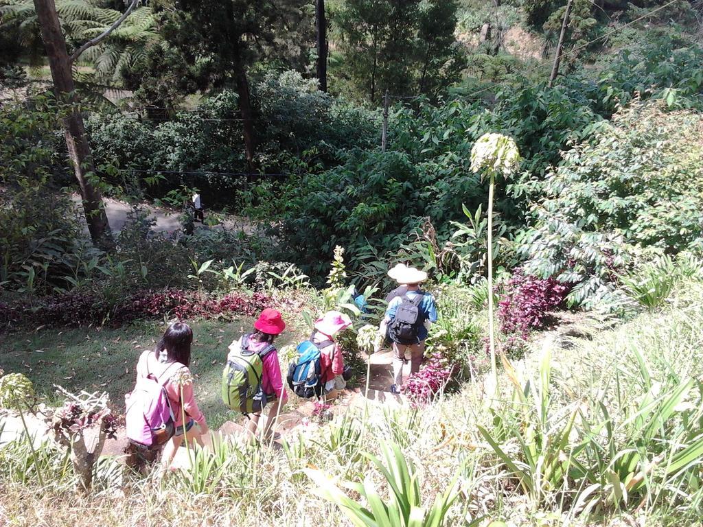 Park View Guest House Nuwara Eliya Kültér fotó