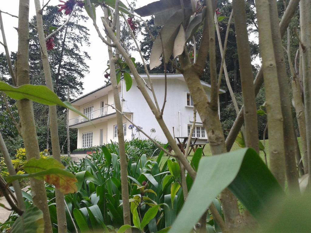 Park View Guest House Nuwara Eliya Kültér fotó
